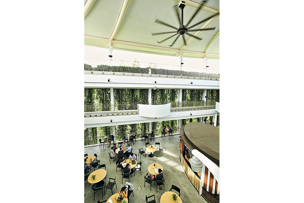 Large ceiling fans at Ventus enhance natural ventilation in open spaces and generate thermal comfort for building occupants.