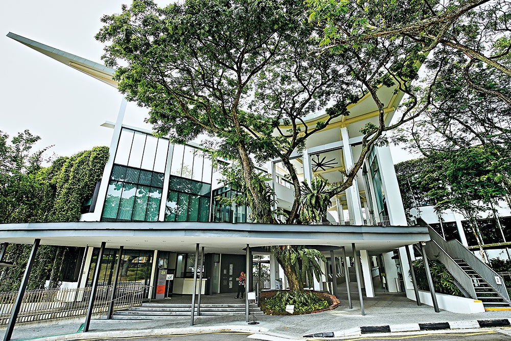 Ventus is built around the existing rain tree.