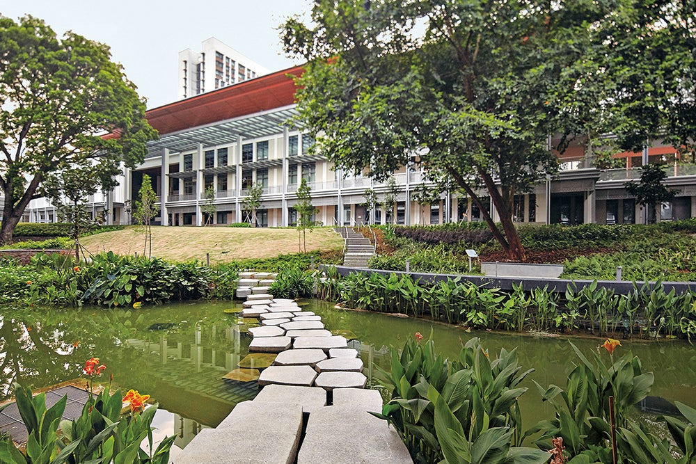 Yale-NUS’ biofiltration pond has received PUB’s Active, Beautiful, Clean Waters (ABC Waters) certification, and adds to the greenery and aesthetics of the campus. Overlooking the pond on the right-hand side of the photo is the Margaritaria indica tree, the only mature one of its kind in Singapore.