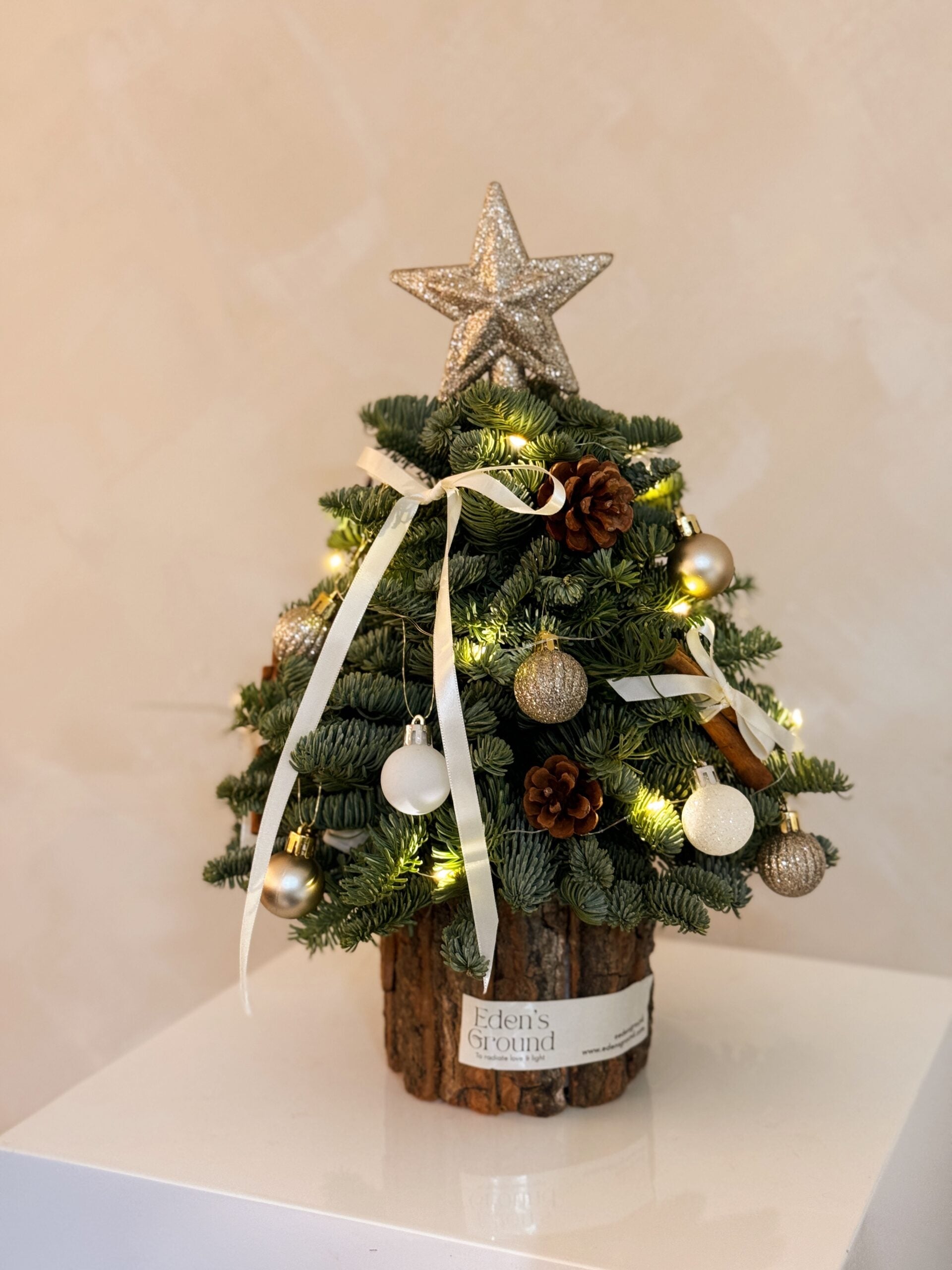 Christmas tree by Eden's Ground