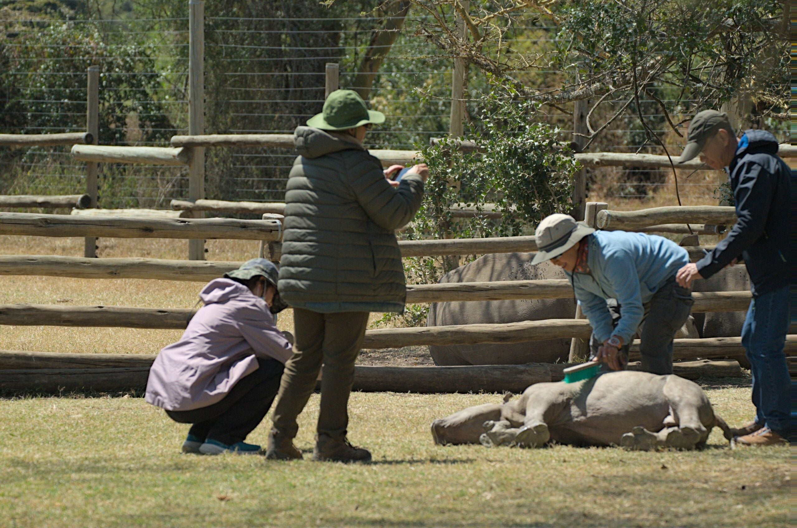 Examples of Wild Spaces' trip